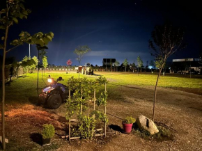 Camping Tree Olives